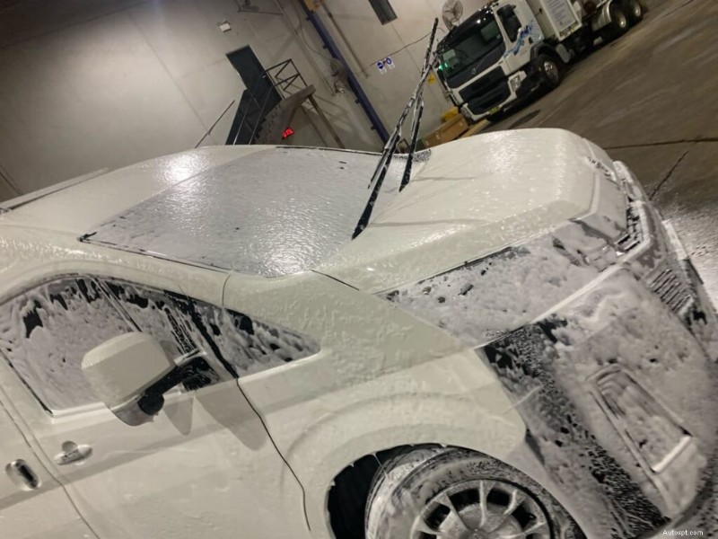 Hoe u effectief boomsap uit uw auto kunt verwijderen in 4 eenvoudige stappen 