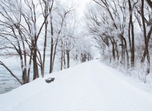 Veilig rijden op ijzige wegen:tips van experts voor reizen in de winter 
