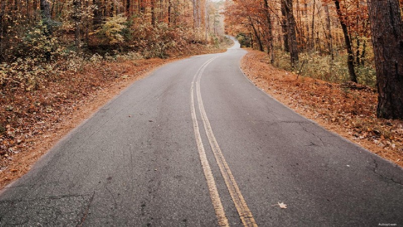 Rijveiligheid tijdens de herfst:essentiële tips voor voertuigvoorbereiding en persoonlijke paraatheid 
