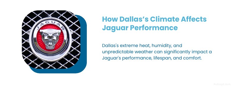 Ultieme Jaguar-onderhoudsgids voor Dallas, Texas:tips van experts en lokale zorg 