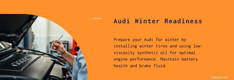 Checklist voor winteronderhoud voor luxe Europese auto s:bescherm Audi, BMW, Mercedes en meer 