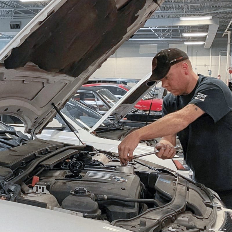 Essentiële zaken voor herfstonderhoud voor Europese luxe auto s:zorg ervoor dat uw Audi, Mercedes-Benz en BMW op topniveau blijven presteren 