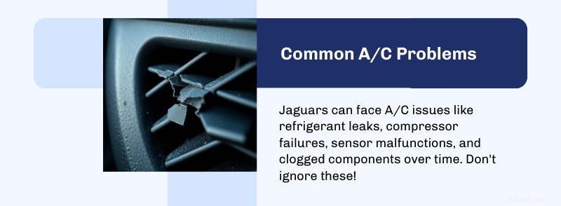 Premium Jaguar airconditioningservice in Dallas en Plano – houd uw luxe rit koel 