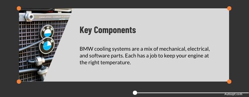 Deskundige BMW-koelsysteemservice in Dallas en Plano, TX 