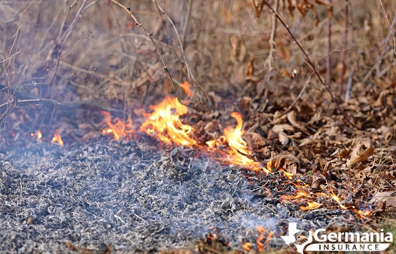 Inzicht in de oorzaken en snelle verspreiding van natuurbranden:sleutelfactoren en preventie 