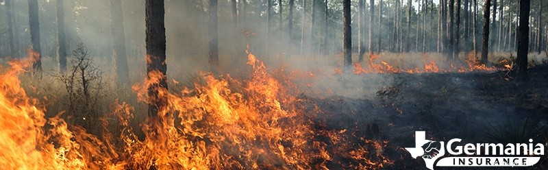 Inzicht in de oorzaken en snelle verspreiding van natuurbranden:sleutelfactoren en preventie 