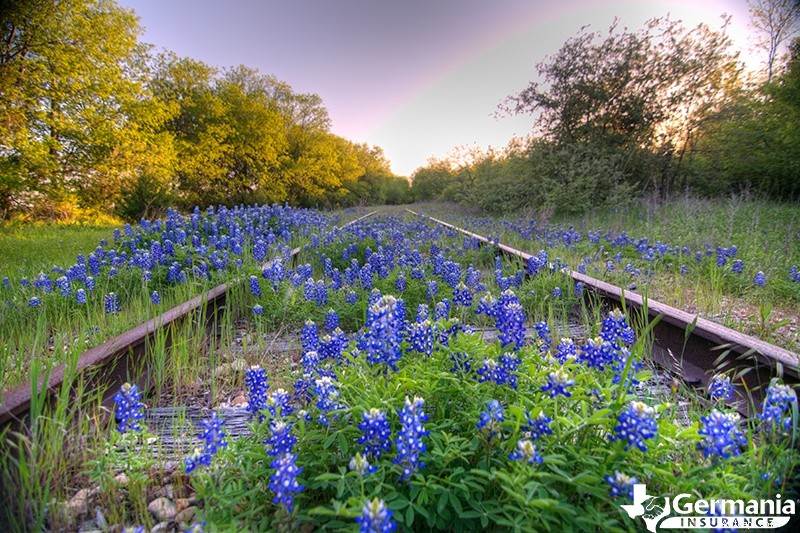 Ontdek de 10 meest Instagram-perfecte bestemmingen van Texas 