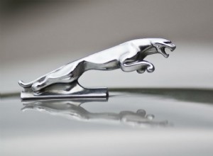 Van iconische accenten tot zeldzame schatten:het verhaal van autokapornamenten 