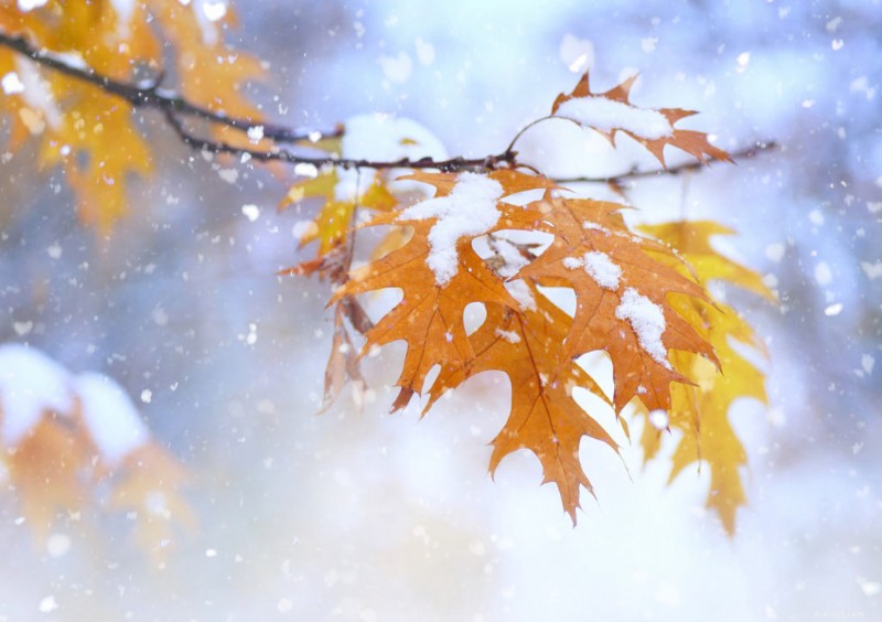 Winterbandentiming:deskundige tips voor een veilige seizoenswissel 