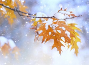 Winterbandentiming:deskundige tips voor een veilige seizoenswissel 